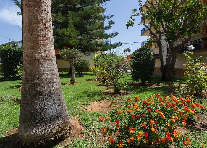 Apartamento El De Adela Dénia